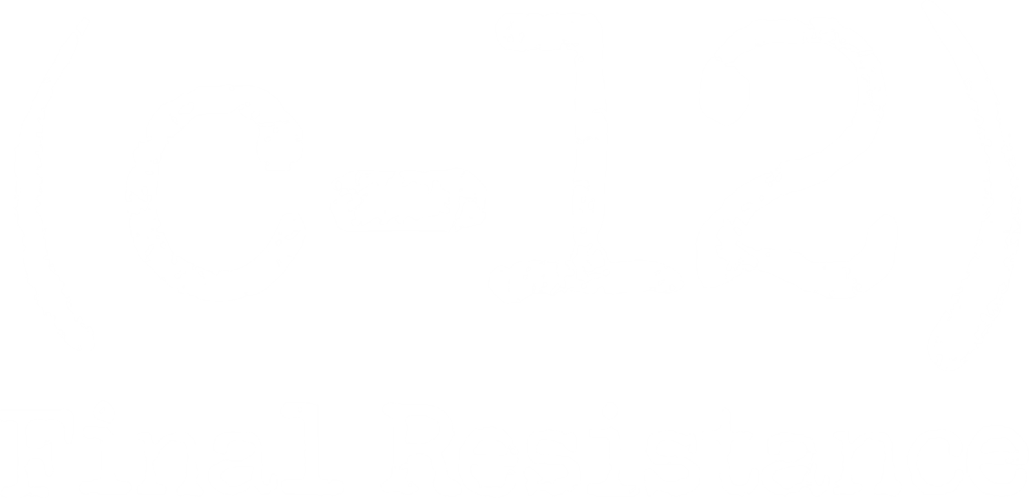 C-12 Final Resistance logo for Playstation